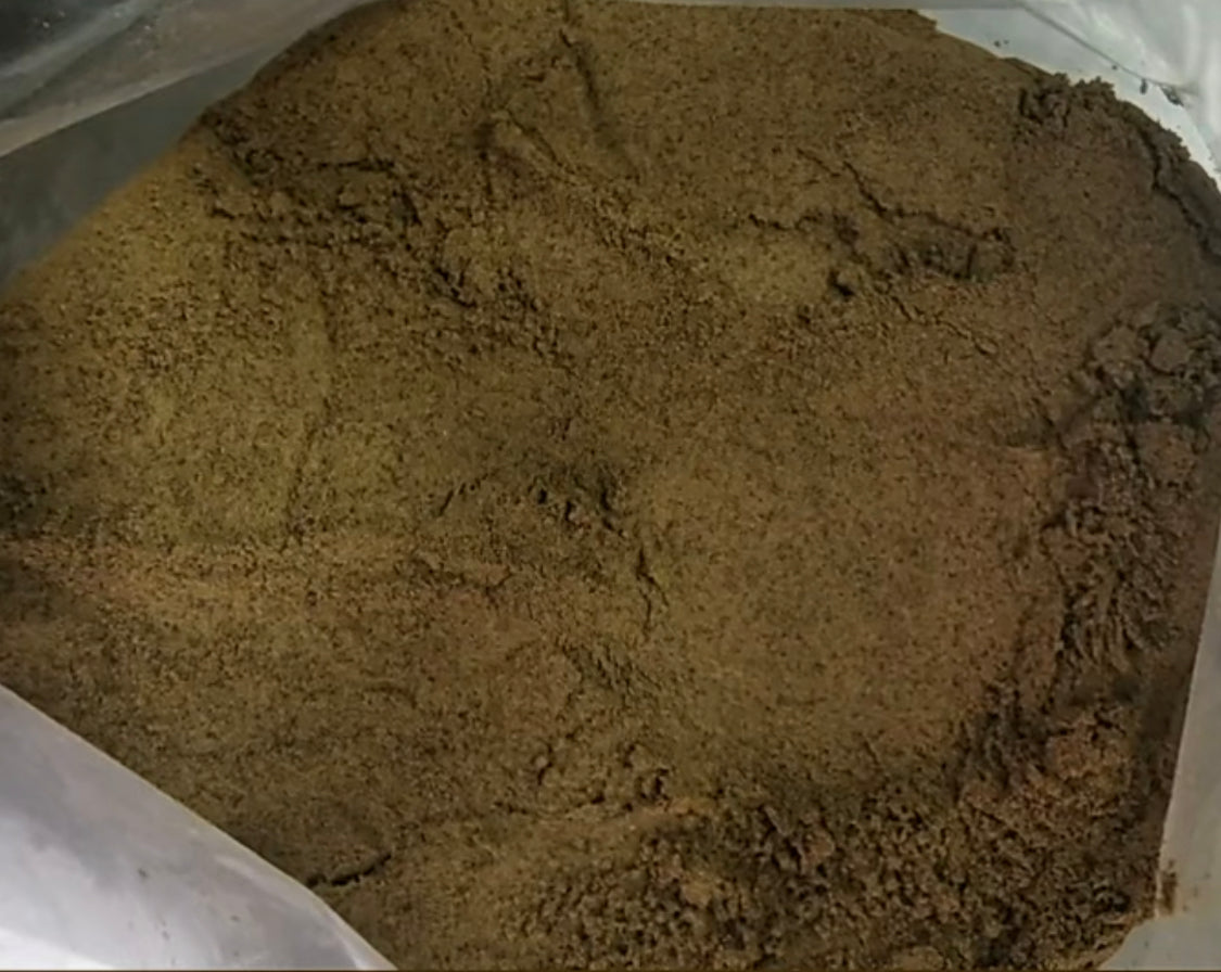 The positive effects of BSFL protein meal powder on improving skin barrier and antioxidant defense, oral health, and good gut health in pets?